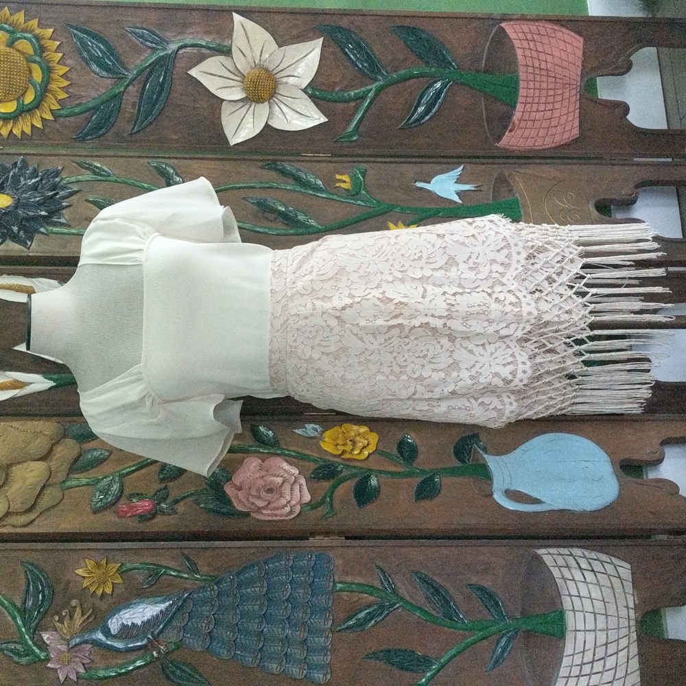 Anthropologie Chelsea & Violet Blush Lace Skirt with Fringe Size L